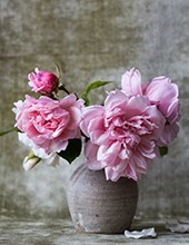 Obituary of Sandra "Sandi" Ergish