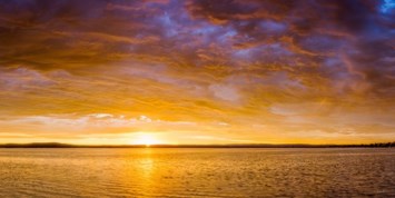 Obituary of Harry F. Young Jr.