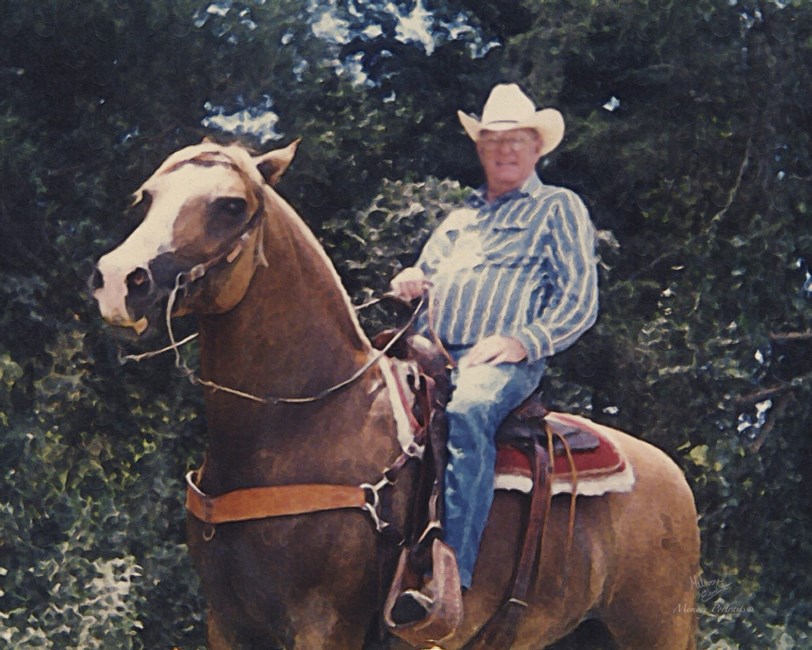 Obituary of Lois Henson