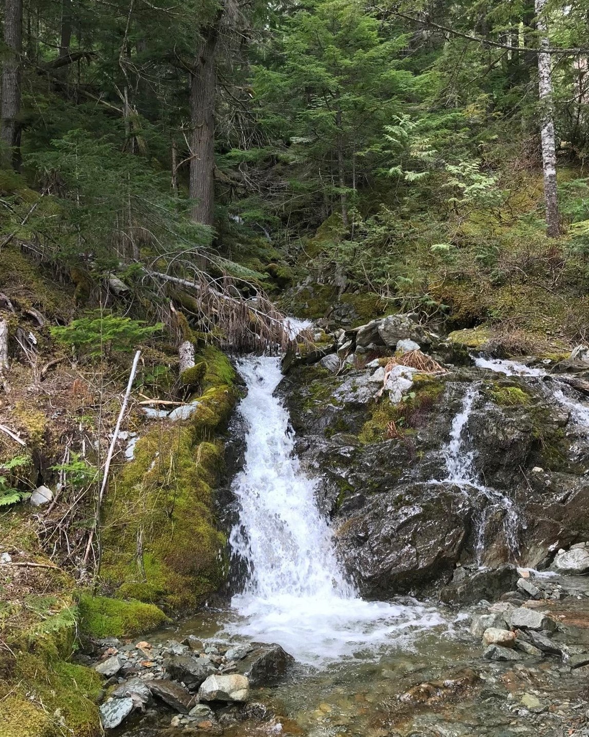 Albert Duncan Obituary Vancouver, BC