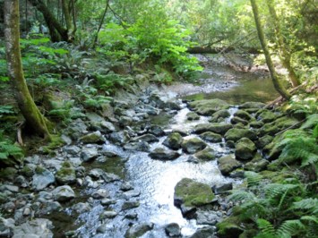 Obituary of Charles Woodard