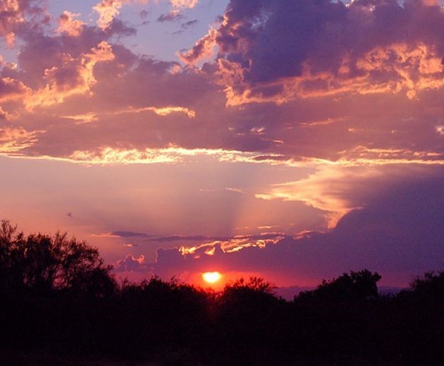 Obituary of Stephen Morris Normand