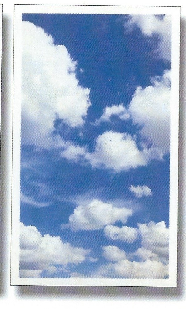 Obituary of James Edward Adams