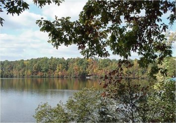 Obituary of Ruth Thorne Chaplin