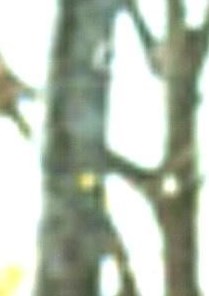 Roderick Morgan Obituary - Stockbridge, GA