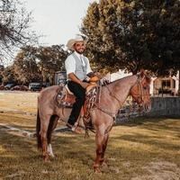 Obituary of Jose Carlos Rojas Valenzuela