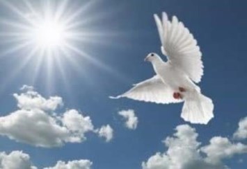 Obituary of Maria del Pino Rubio