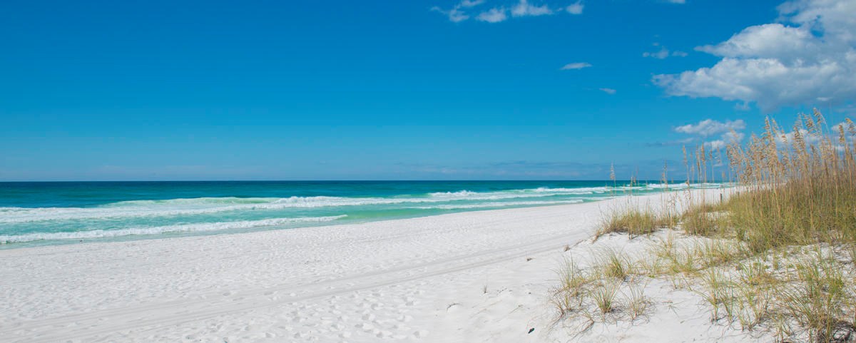 Obituary of Michael Carl Taute