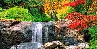 Obituary of Paul Joseph Shea