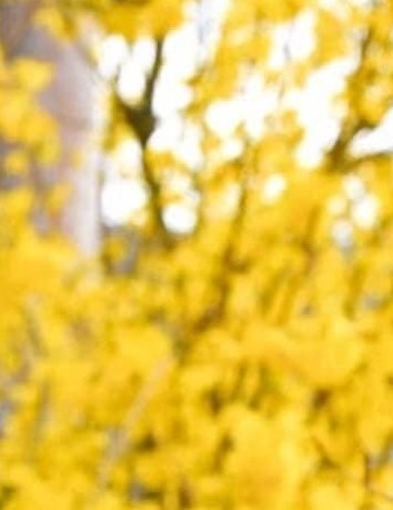 Margaret Rueb Obituary - Providence, RI