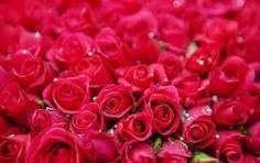 Obituario de Grace Marie Davies