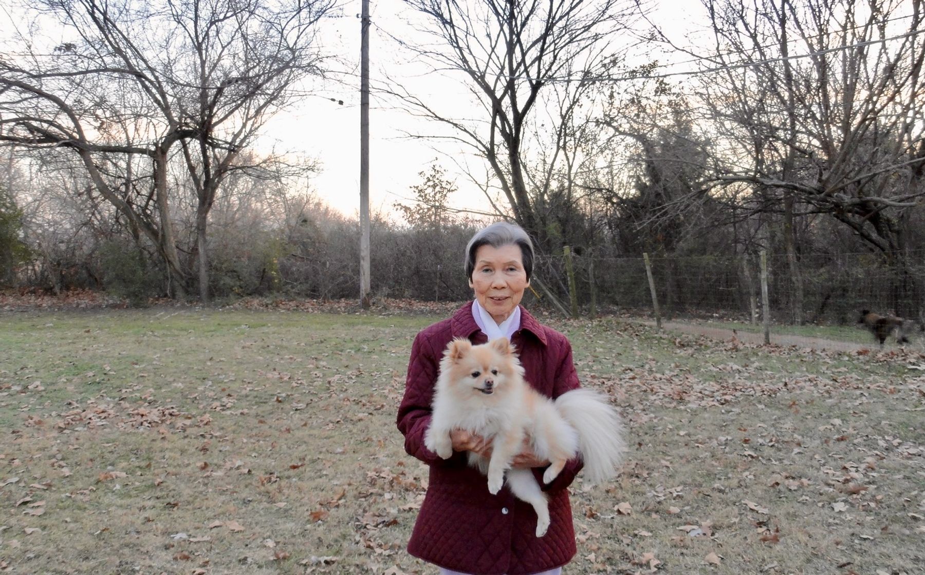 Obituary of Lisa Sun Jessee