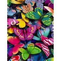 Obituary of Alia Michelle Davis