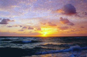 Obituary of Cecilia Gonzalez Onsurez