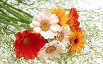 Obituary of Masako Inouye Tomita