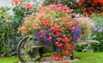 Obituary of Juanita D. Jinright