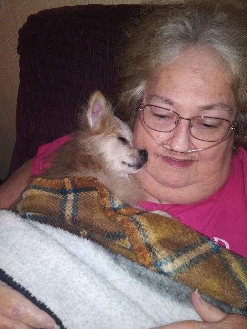 Obituary of Janet Marie Sheidy