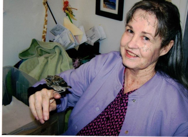 Obituary of Michele Joy Kain