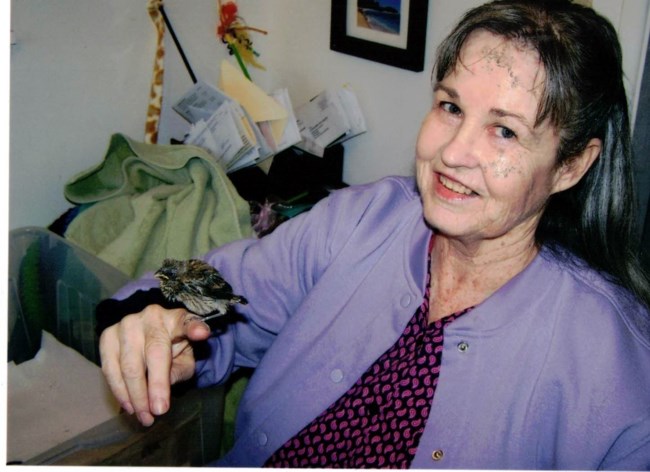 Nécrologie de Michele Joy Kain
