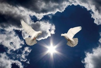 Obituary of Maria del C Ortega