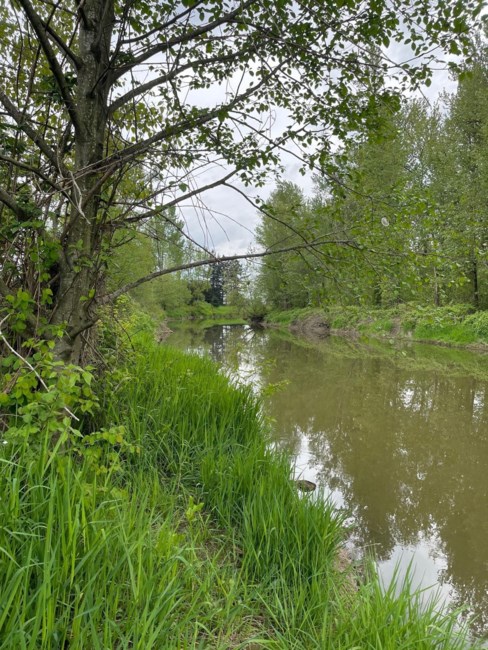 Obituary of Robert Brooke Kennedy