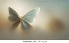 Obituary of Mr. José Cruz Castro