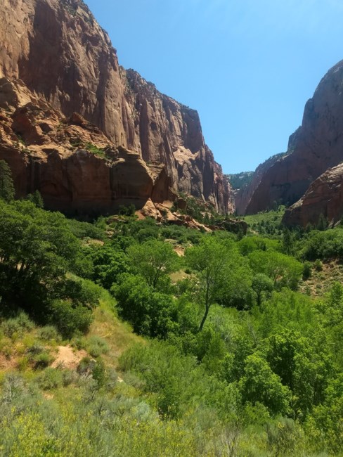 Obituary of Melvin Harold Beauchamp