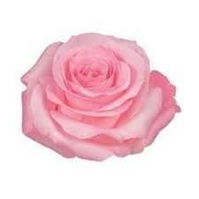 Obituary of Mary Laverne Graves