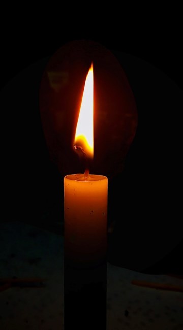 Obituary of Nelda Faye Walsh