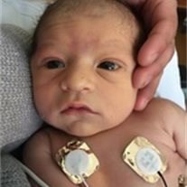 Obituary of Vincent Anthony Reese