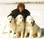 Marilyn Perry