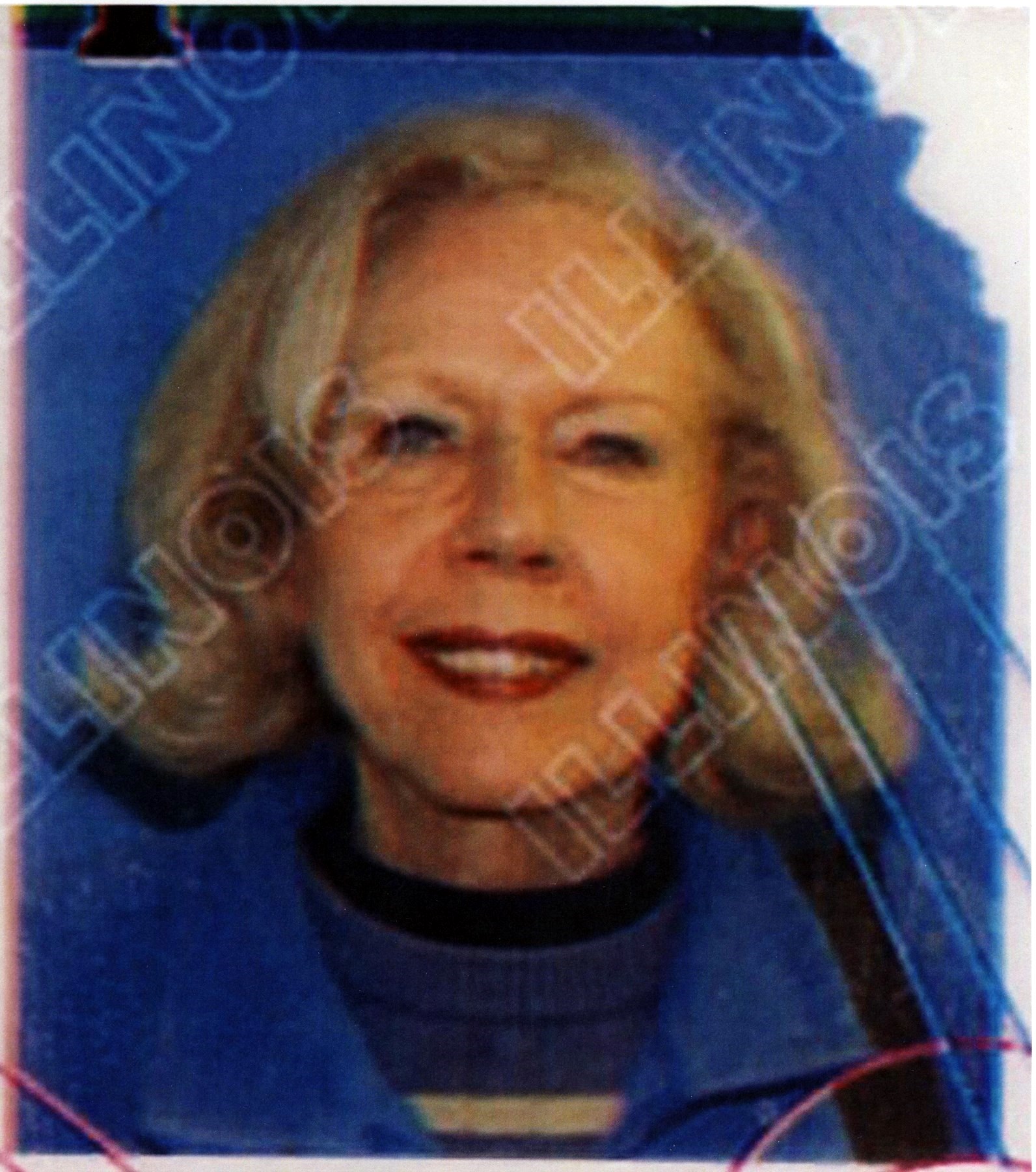 Rose Ann Seely Obituary - Chicago, IL
