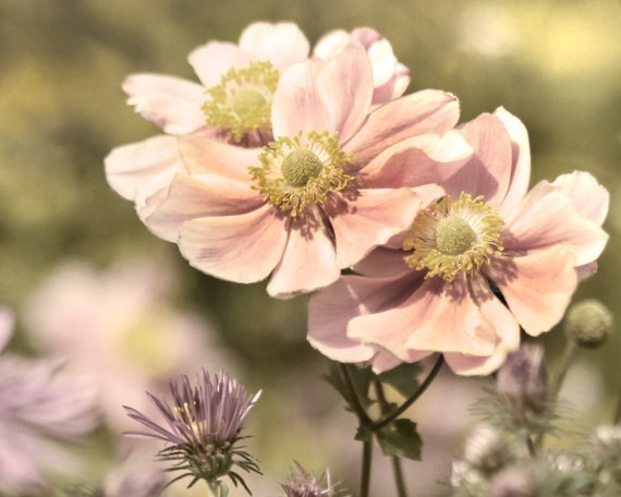 Obituary of Sharon Wells