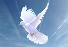 Obituary of Beverly Jeannette Powell