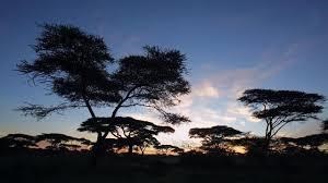 Obituary of James Russell Barrett