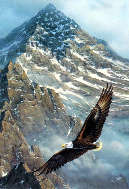 Obituary of William J Fitzpatrick