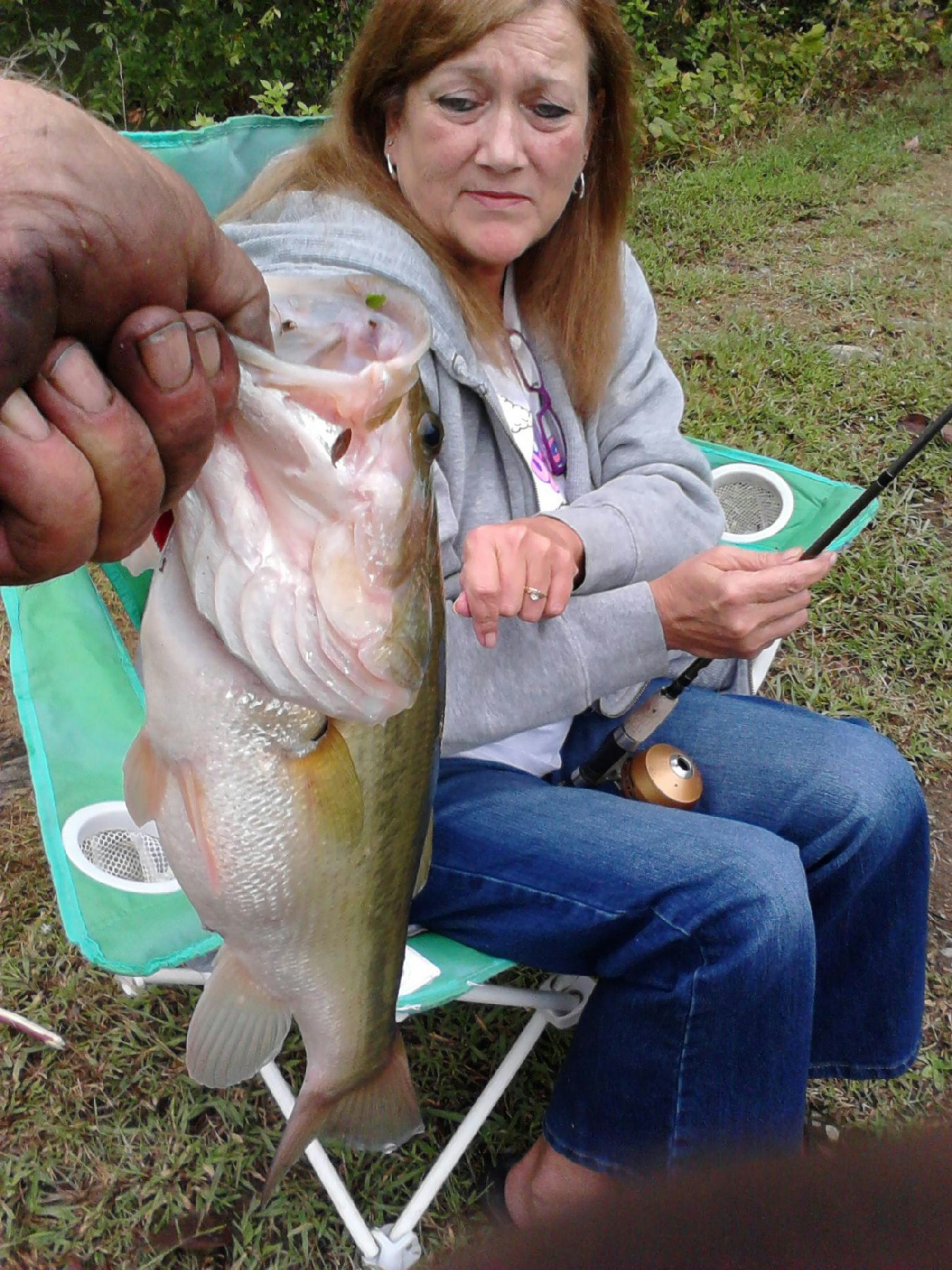 Obituary of Cynthia Elliott McHone