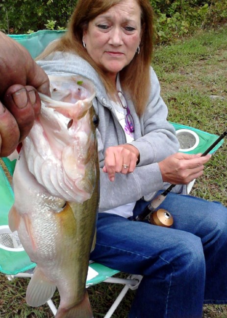 Obituary of Cynthia Elliott McHone