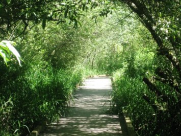 Obituary of Lawrence Nathan Gold