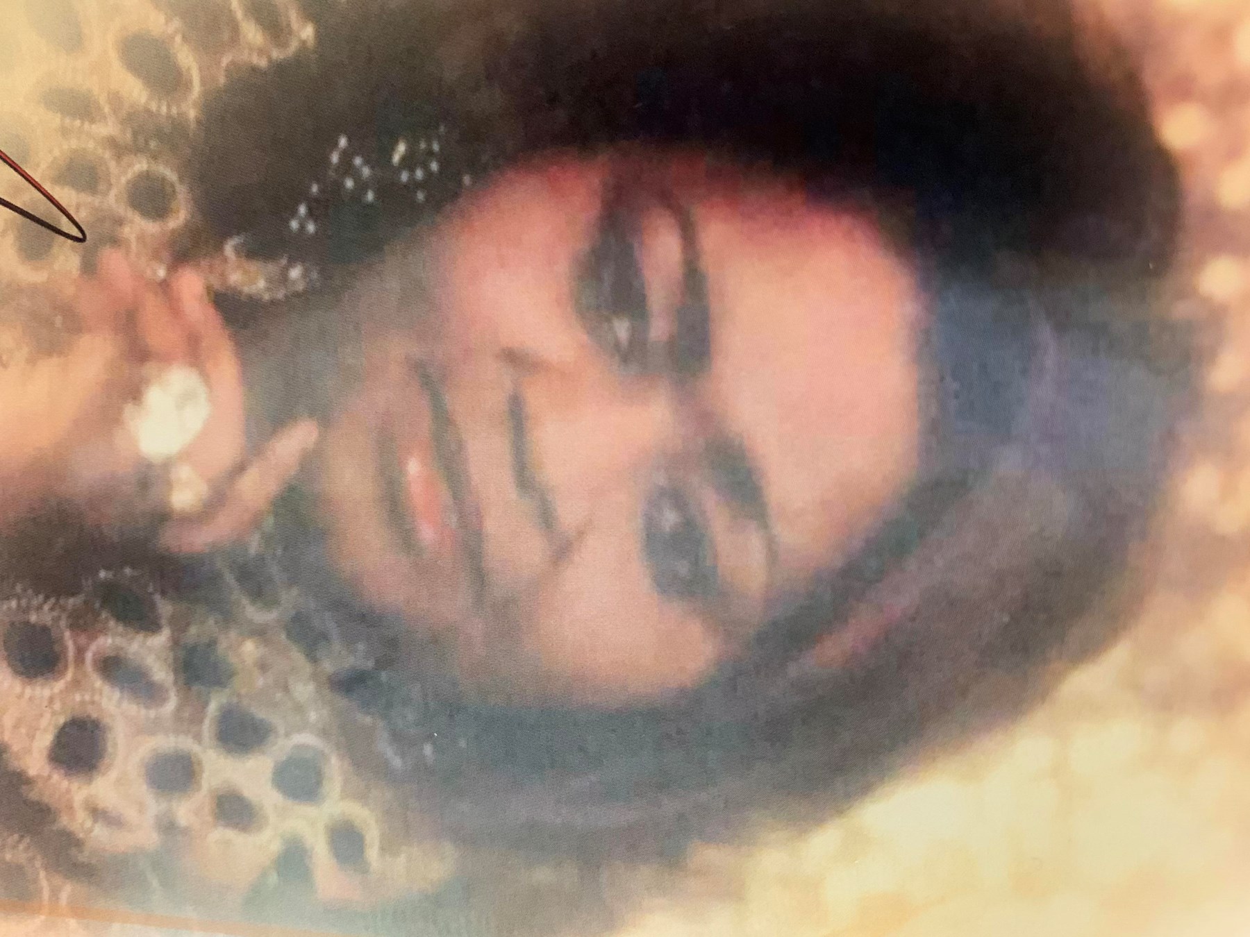 Obituary of Betty Williamson