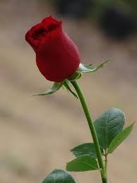 Obituary of Bobby Ray Atwood