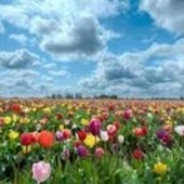 Obituario de Claudia Ann Kurth