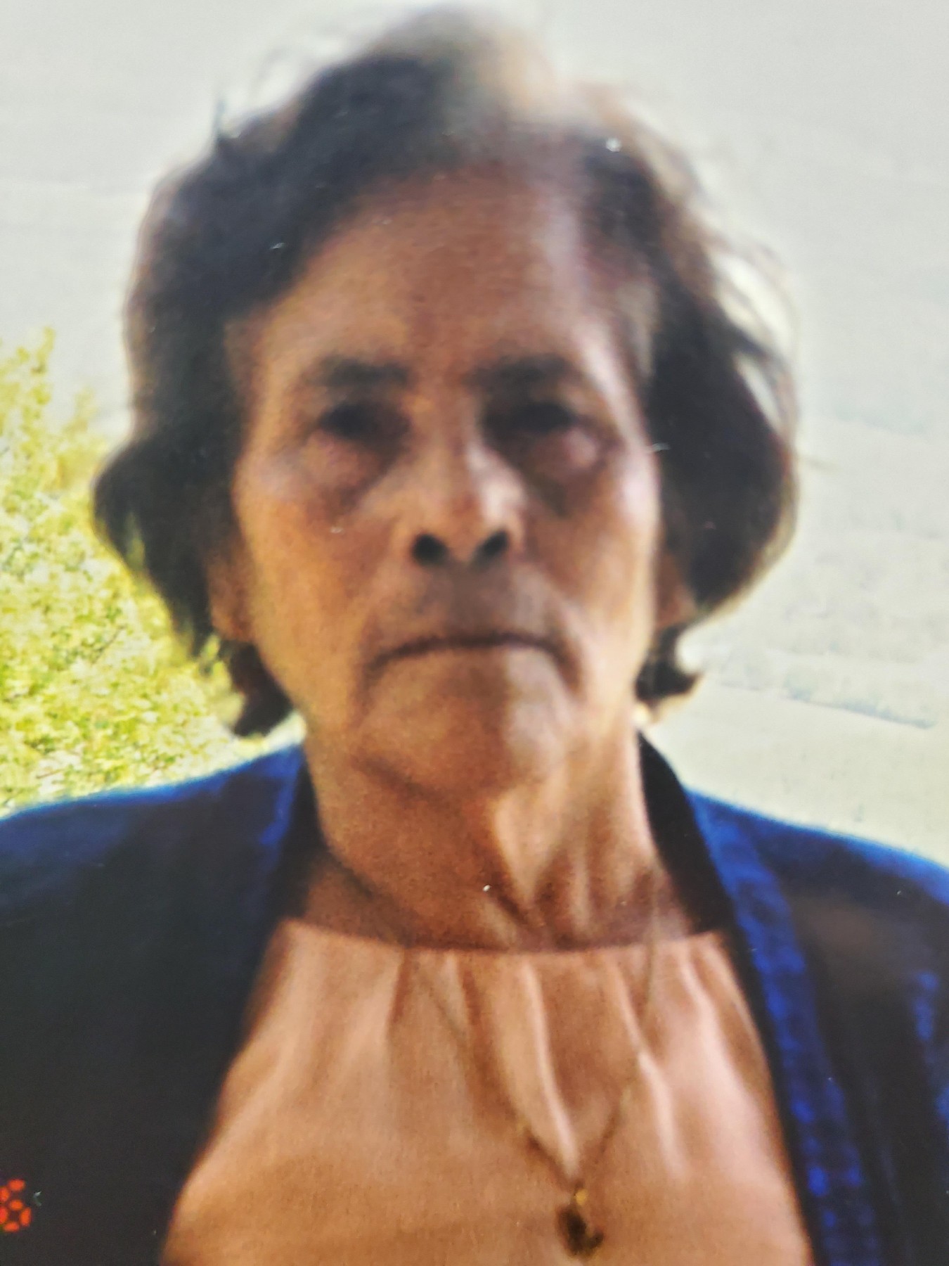 Obituary of Andrea Perez