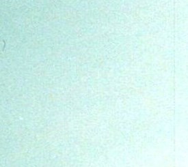 Elizabeth Shultz Obituary - Fort Wayne, IN