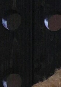 William Ringle Obituary - Plantation, FL