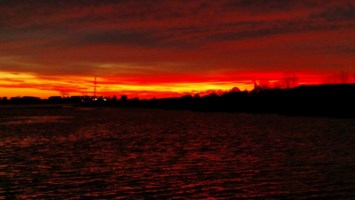 Obituary of Pedro L. Segarra