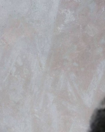 Ronald Robert Reisinger Obituary - Westminster, CA