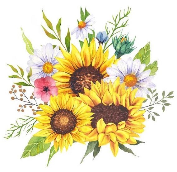 Obituary of Dorothy M Barnes