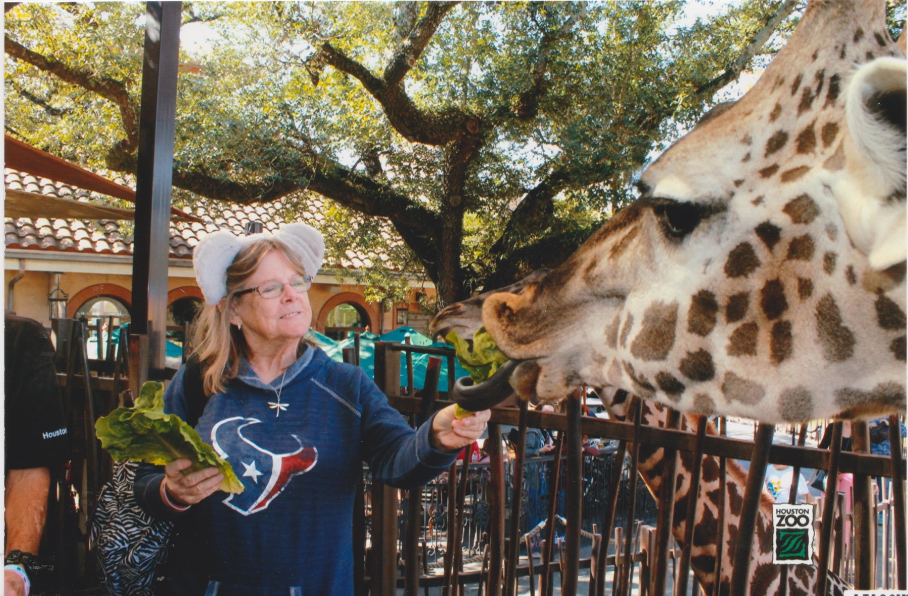 Obituary of Pamela Suzanne Zanek