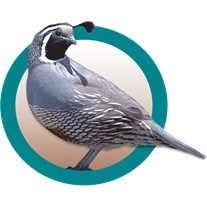 Obituary of Jane Sandra Doe